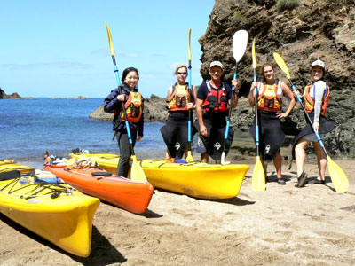 Tutukaka