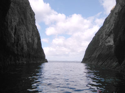 Whangaroa Expedition