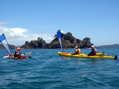 Whangaruru Harbour